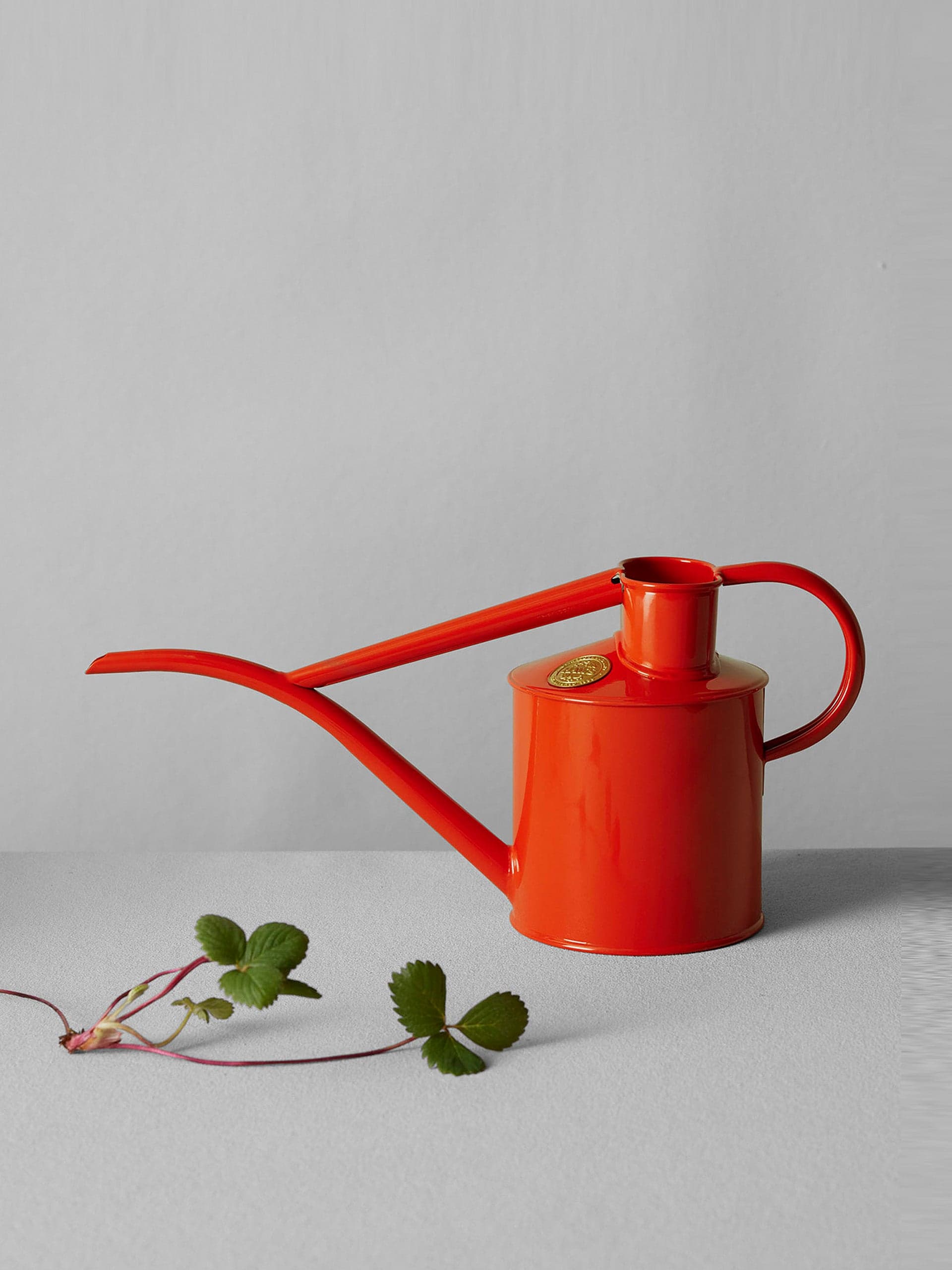 Haws Fazeley Flow indoor watering can