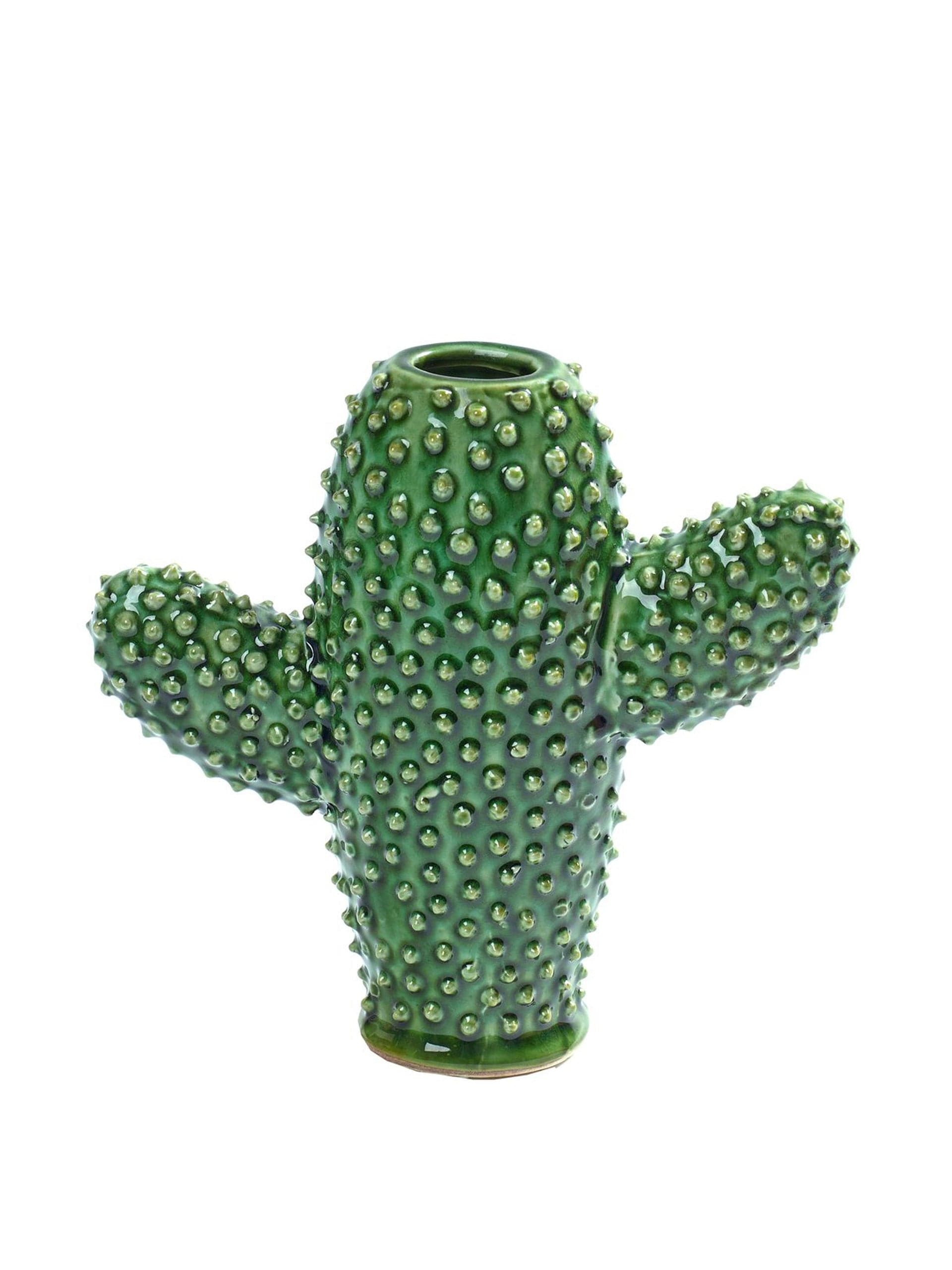 Cactus vase